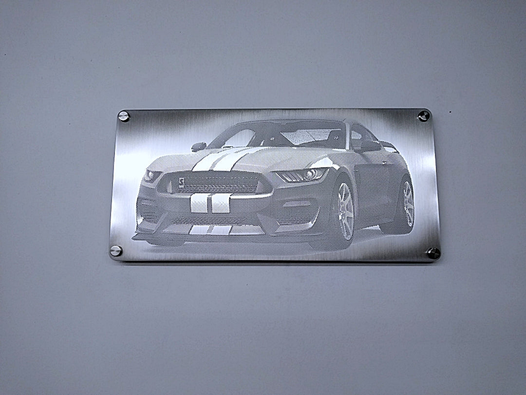 Billet-Art Ford Mustang GT350 Artwork